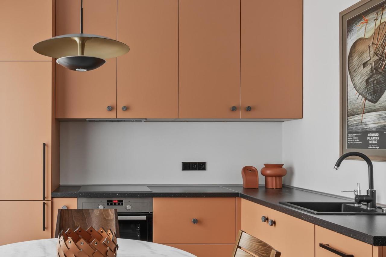 Ivis House - Stylish And Original Apartment In Vilnius Old Town ภายนอก รูปภาพ