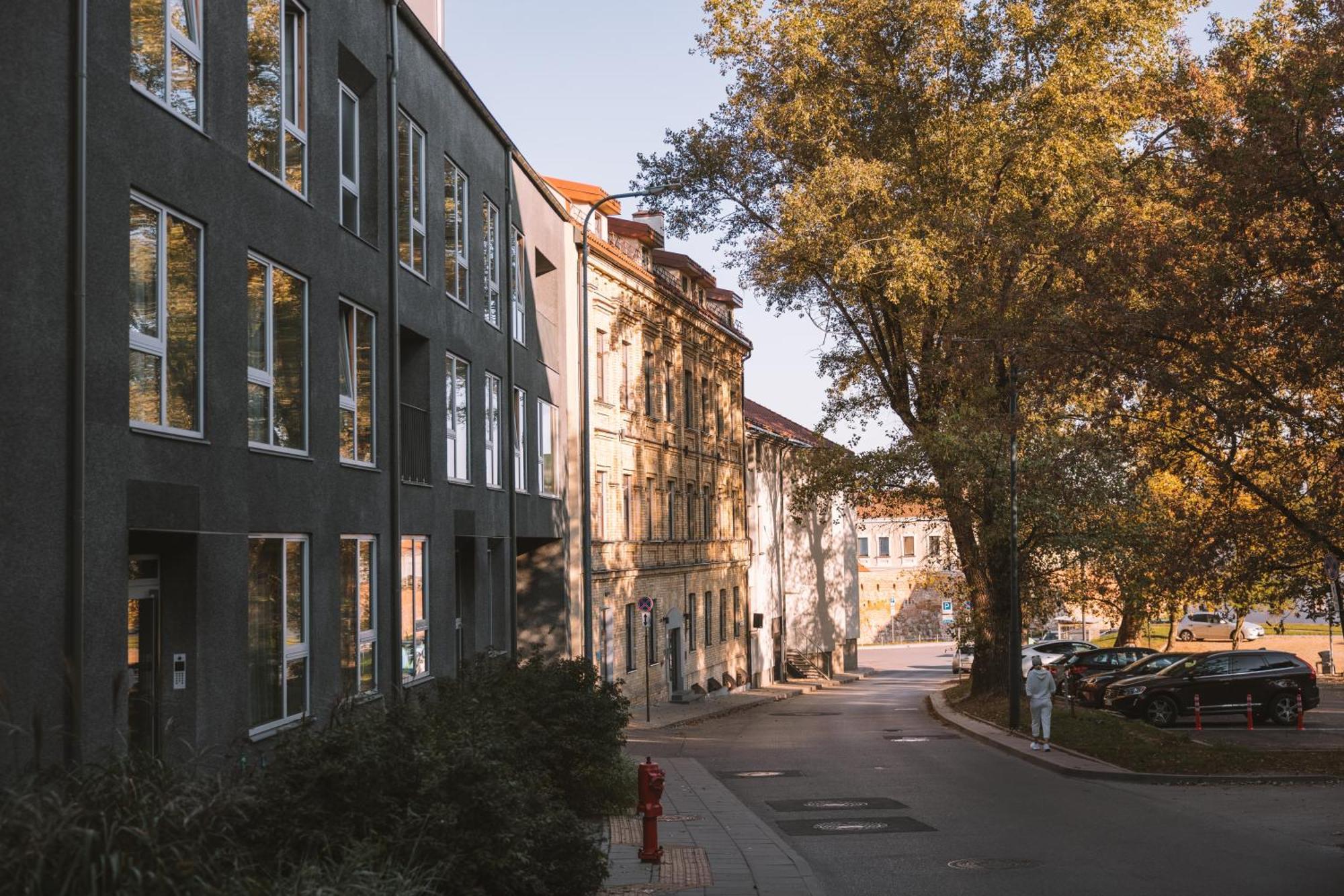 Ivis House - Stylish And Original Apartment In Vilnius Old Town ภายนอก รูปภาพ